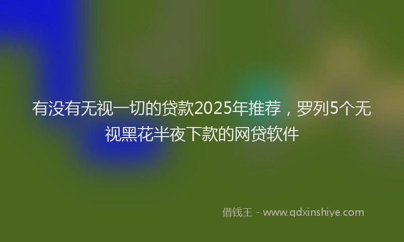 有没有无视一切的贷款2025年推荐，罗列5个无视黑花半夜下款的网贷软件