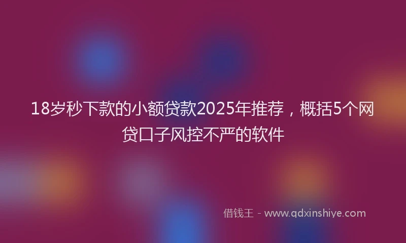 18岁秒下款的小额贷款2025年推荐，概括5个网贷口子风控不严的软件