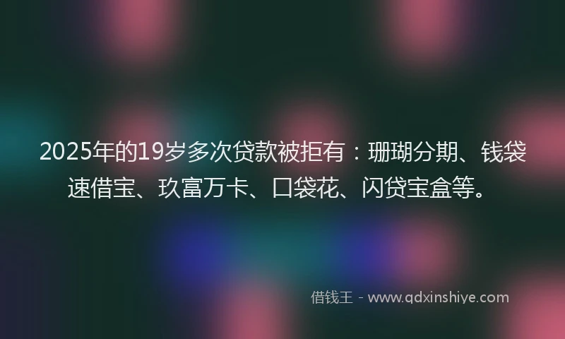 2025年的19岁多次贷款被拒有：珊瑚分期、钱袋速借宝、玖富万卡、口袋花、闪贷宝盒等。