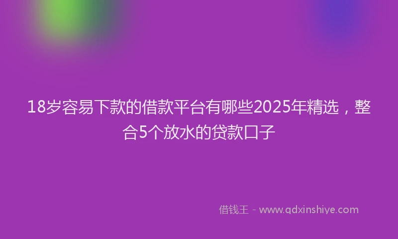 18岁容易下款的借款平台有哪些2025年精选，整合5个放水的贷款口子
