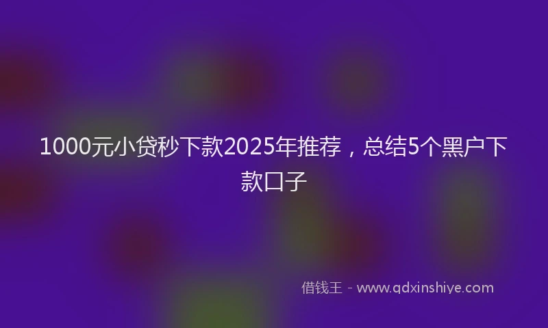 1000元小贷秒下款2025年推荐，总结5个黑户下款口子