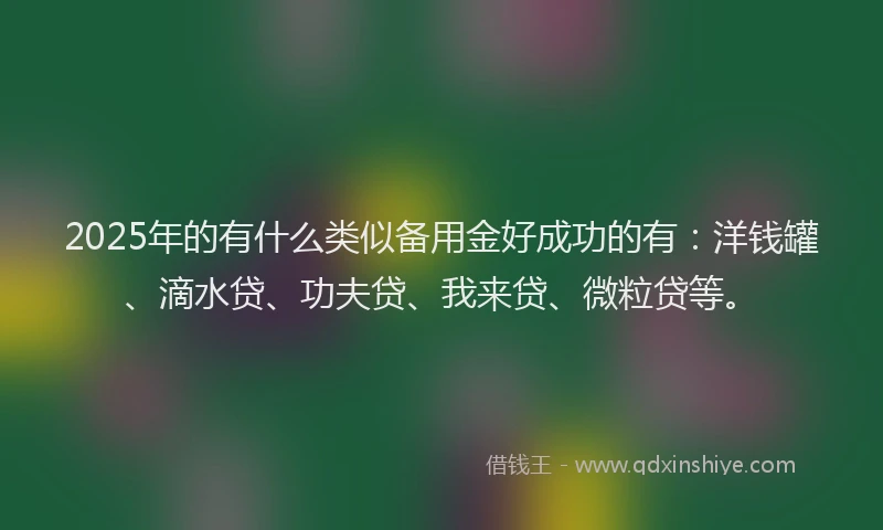 2025年的有什么类似备用金好成功的有：洋钱罐、滴水贷、功夫贷、我来贷、微粒贷等。