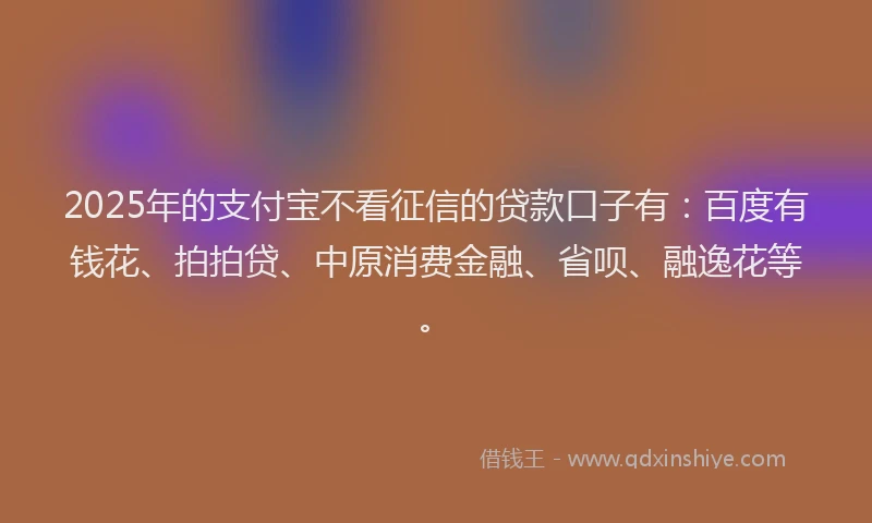 2025年的支付宝不看征信的贷款口子有：百度有钱花、拍拍贷、中原消费金融、省呗、融逸花等。