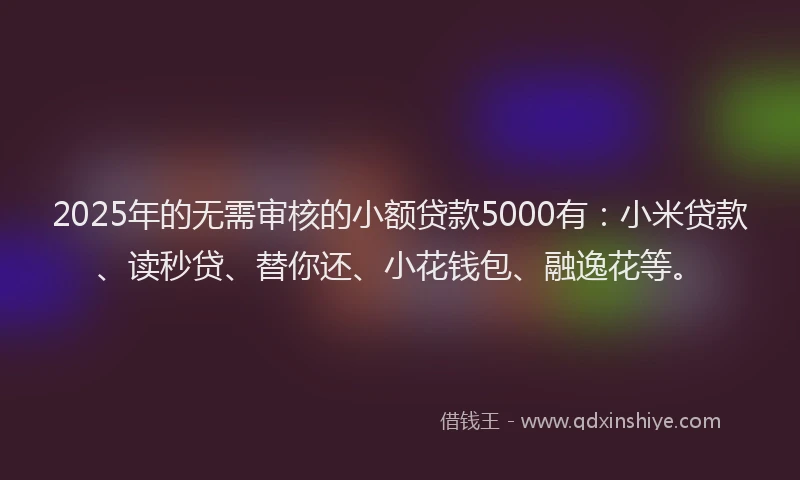2025年的无需审核的小额贷款5000有：小米贷款、读秒贷、替你还、小花钱包、融逸花等。