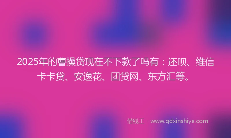 2025年的曹操贷现在不下款了吗有：还呗、维信卡卡贷、安逸花、团贷网、东方汇等。