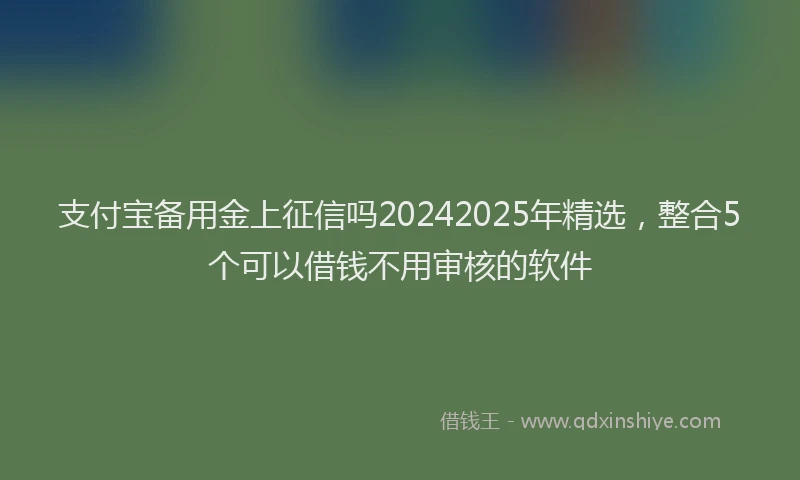 支付宝备用金上征信吗20242025年精选，整合5个可以借钱不用审核的软件