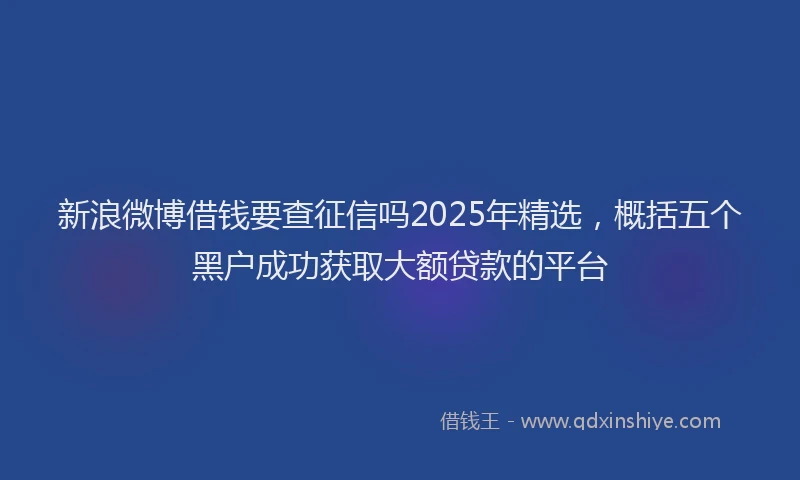 新浪微博借钱要查征信吗2025年精选，概括五个黑户成功获取大额贷款的平台