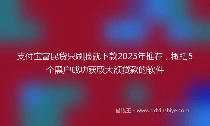 支付宝富民贷只刷脸就下款2025年推荐，概括5个黑户成功获取大额贷款的软件