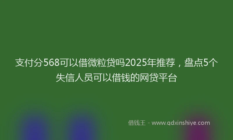 支付分568可以借微粒贷吗2025年推荐，盘点5个失信人员可以借钱的网贷平台