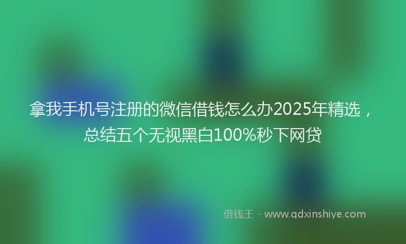 拿我手机号注册的微信借钱怎么办2025年精选，总结五个无视黑白100%秒下网贷