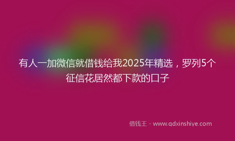 有人一加微信就借钱给我2025年精选，罗列5个征信花居然都下款的口子