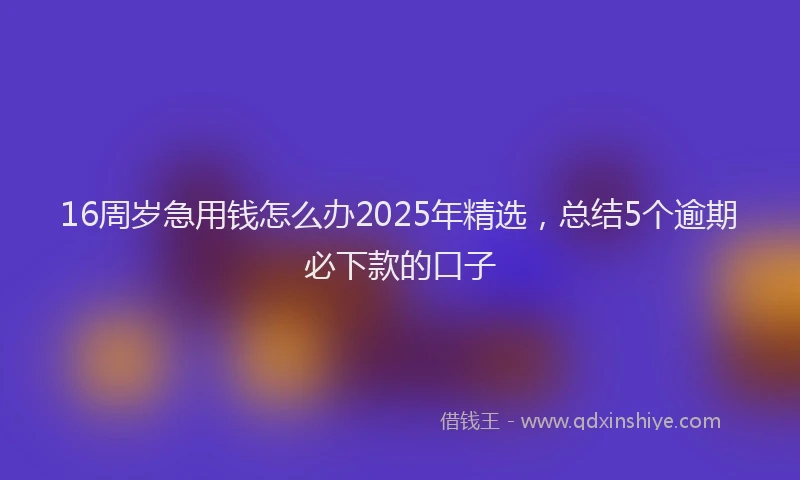 16周岁急用钱怎么办2025年精选，总结5个逾期必下款的口子