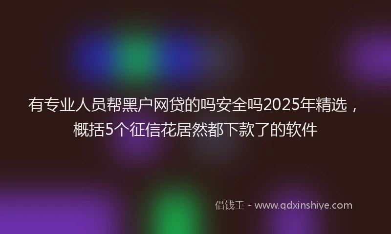 有专业人员帮黑户网贷的吗安全吗2025年精选，概括5个征信花居然都下款了的软件