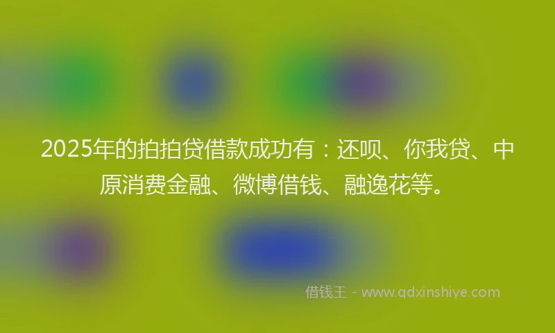2025年的拍拍贷借款成功有：还呗、你我贷、中原消费金融、微博借钱、融逸花等。
