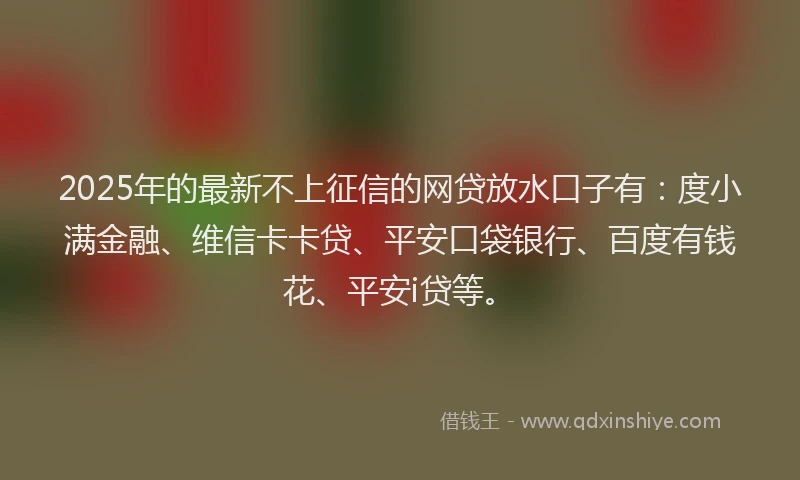 2025年的最新不上征信的网贷放水口子有：度小满金融、维信卡卡贷、平安口袋银行、百度有钱花、平安i贷等。