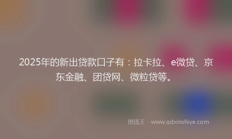 2025年的新出贷款口子有：拉卡拉、e微贷、京东金融、团贷网、微粒贷等。