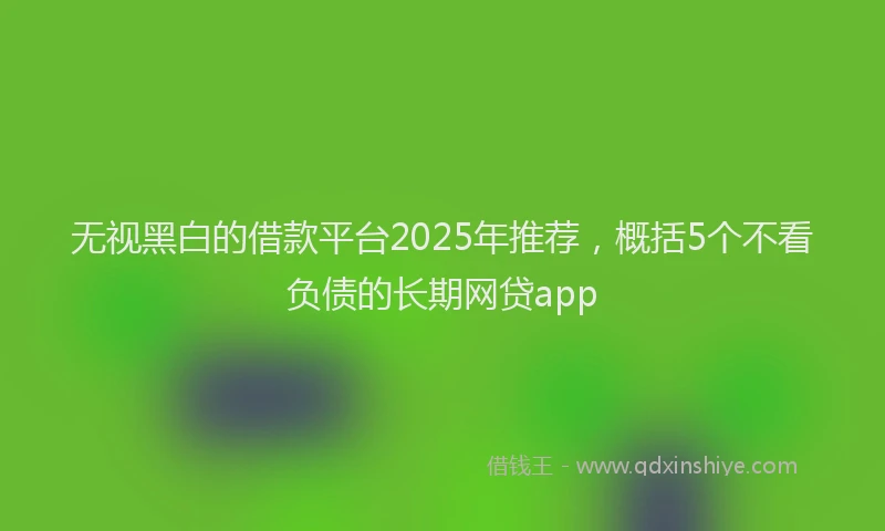 无视黑白的借款平台2025年推荐，概括5个不看负债的长期网贷app