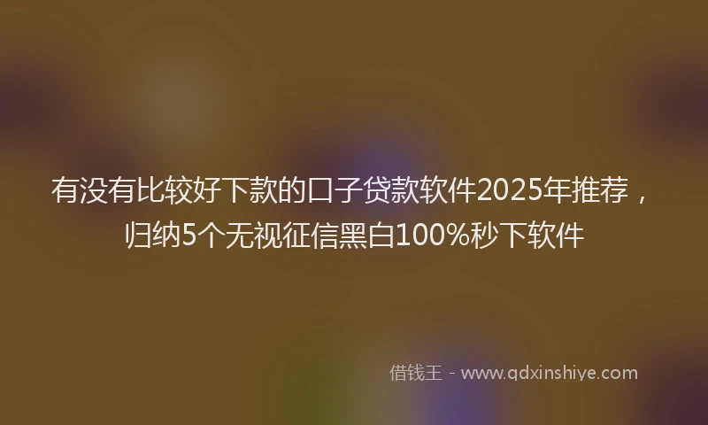 有没有比较好下款的口子贷款软件2025年推荐，归纳5个无视征信黑白100%秒下软件