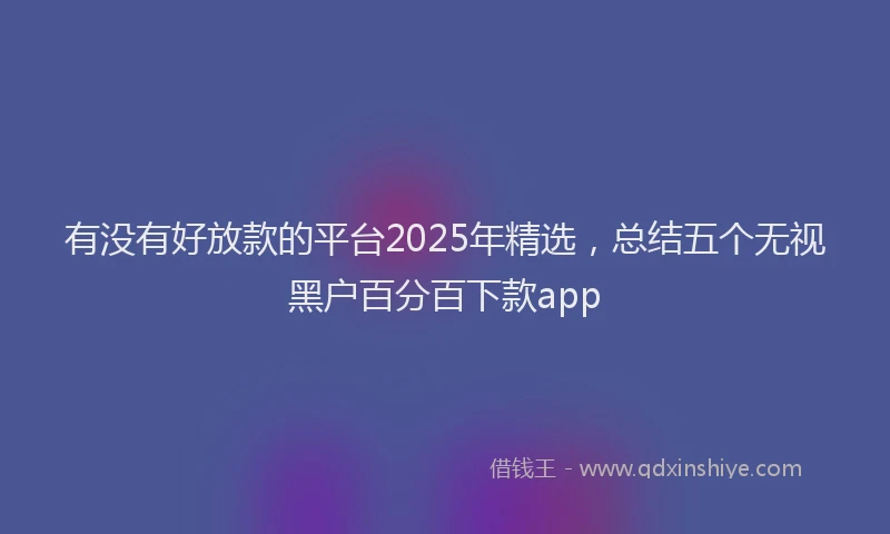有没有好放款的平台2025年精选，总结五个无视黑户百分百下款app