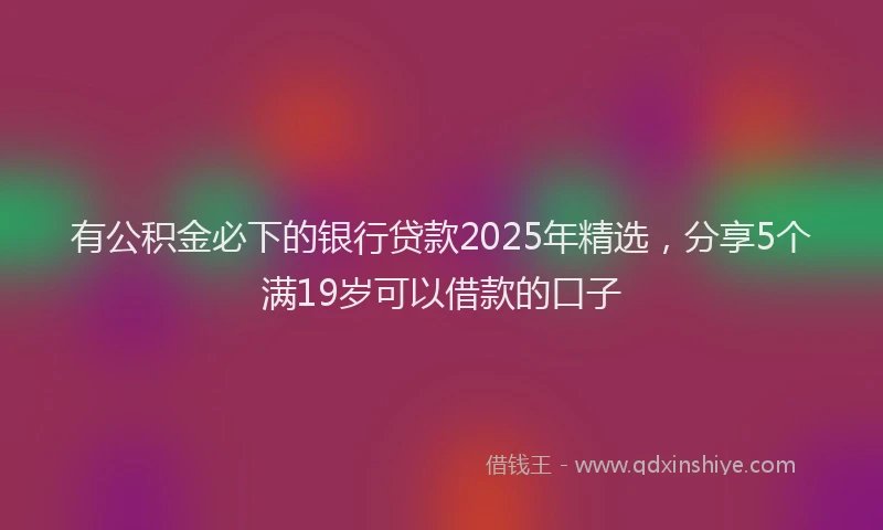 有公积金必下的银行贷款2025年精选，分享5个满19岁可以借款的口子