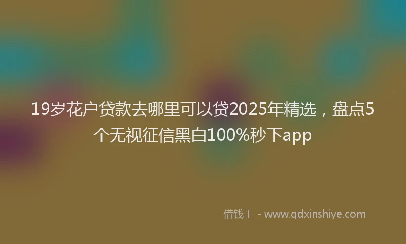 19岁花户贷款去哪里可以贷2025年精选，盘点5个无视征信黑白100%秒下app