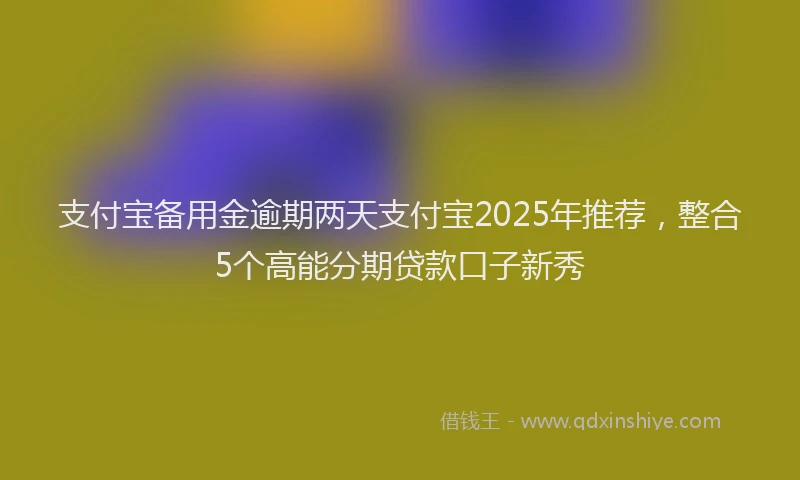 支付宝备用金逾期两天支付宝2025年推荐，整合5个高能分期贷款口子新秀