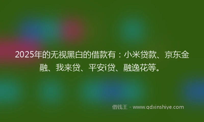 2025年的无视黑白的借款有：小米贷款、京东金融、我来贷、平安i贷、融逸花等。