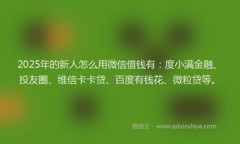 2025年的新人怎么用微信借钱有：度小满金融、投友圈、维信卡卡贷、百度有钱花、微粒贷等。