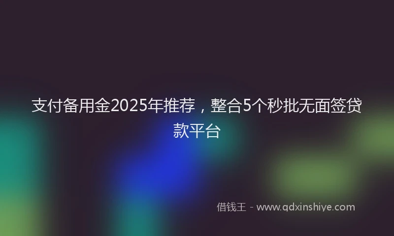 支付备用金2025年推荐，整合5个秒批无面签贷款平台