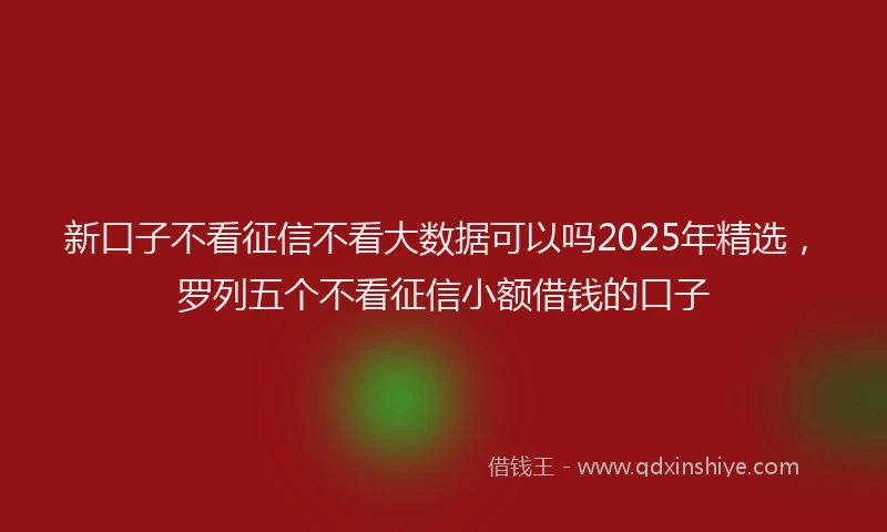 新口子不看征信不看大数据可以吗2025年精选，罗列五个不看征信小额借钱的口子