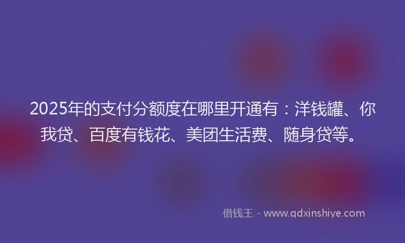 2025年的支付分额度在哪里开通有：洋钱罐、你我贷、百度有钱花、美团生活费、随身贷等。