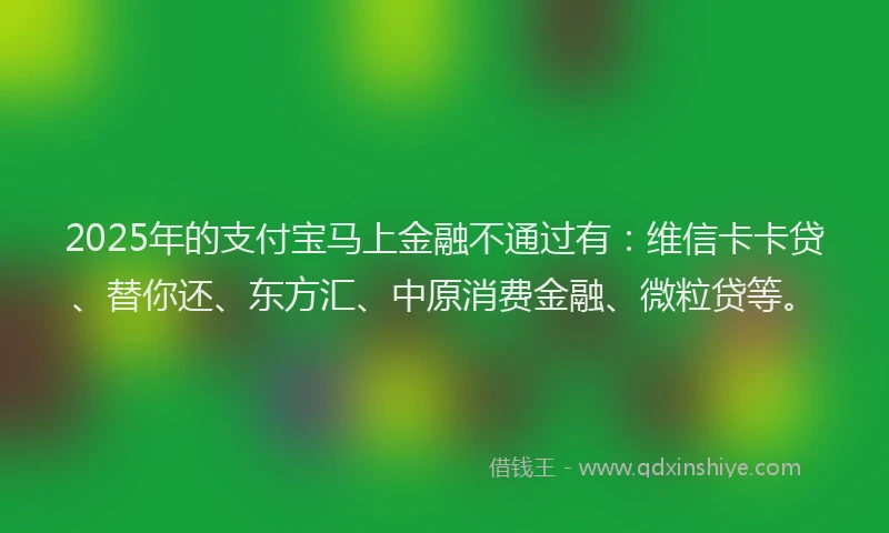 2025年的支付宝马上金融不通过有：维信卡卡贷、替你还、东方汇、中原消费金融、微粒贷等。