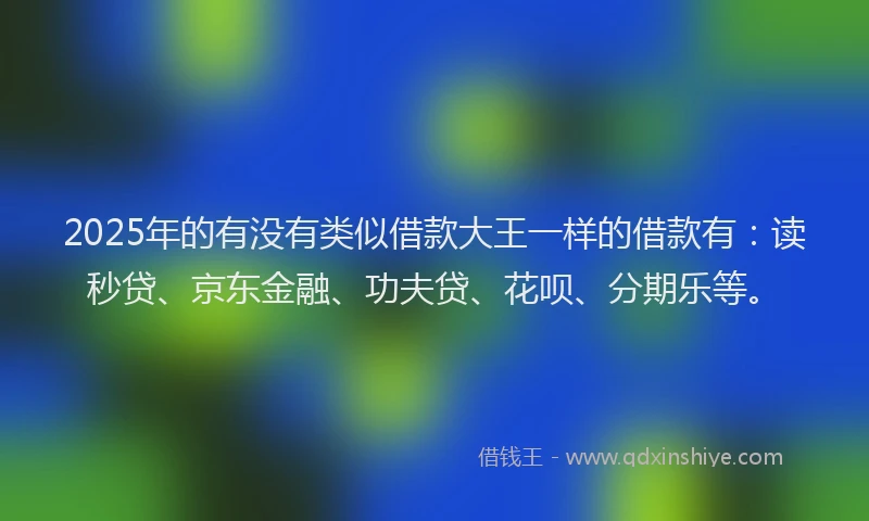 2025年的有没有类似借款大王一样的借款有：读秒贷、京东金融、功夫贷、花呗、分期乐等。
