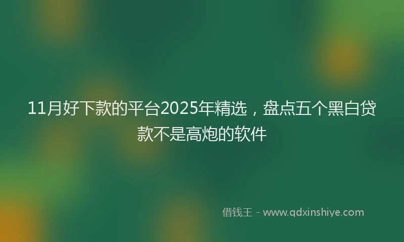 11月好下款的平台2025年精选，盘点五个黑白贷款不是高炮的软件