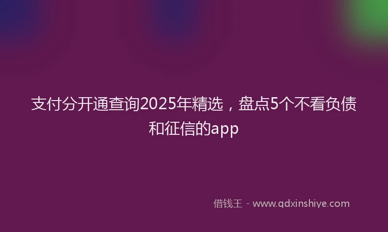 支付分开通查询2025年精选，盘点5个不看负债和征信的app