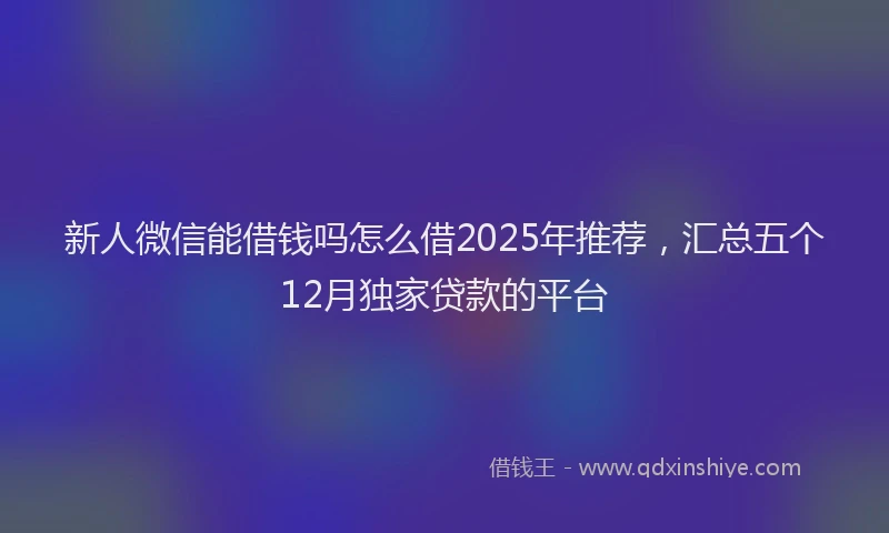 新人微信能借钱吗怎么借2025年推荐，汇总五个12月独家贷款的平台