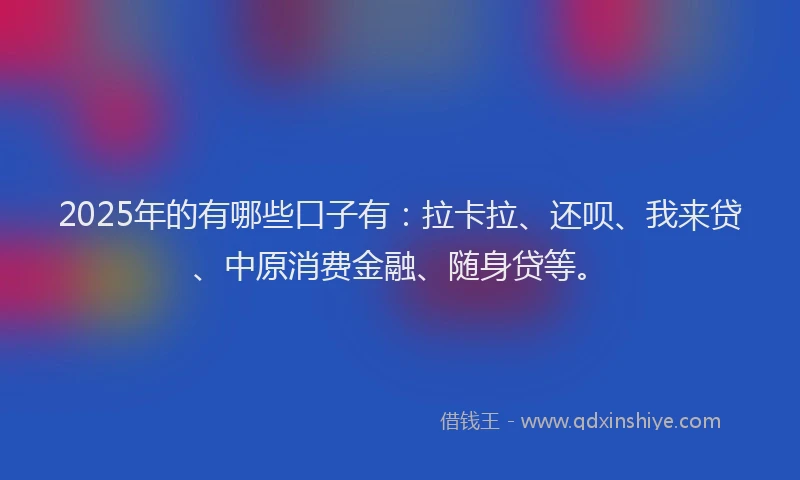 2025年的有哪些口子有：拉卡拉、还呗、我来贷、中原消费金融、随身贷等。
