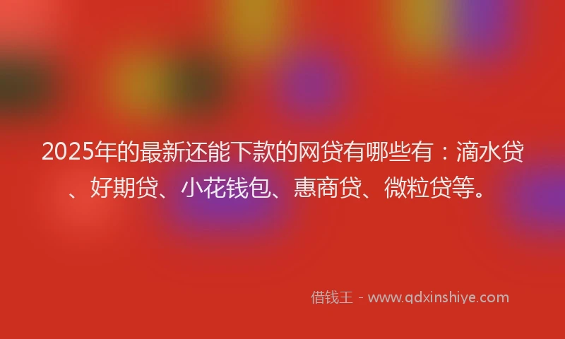 2025年的最新还能下款的网贷有哪些有：滴水贷、好期贷、小花钱包、惠商贷、微粒贷等。