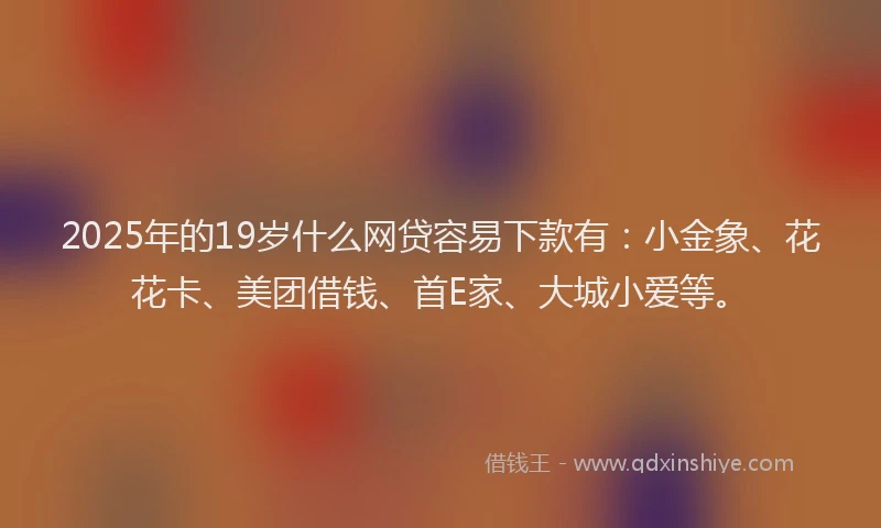 2025年的19岁什么网贷容易下款有：小金象、花花卡、美团借钱、首E家、大城小爱等。