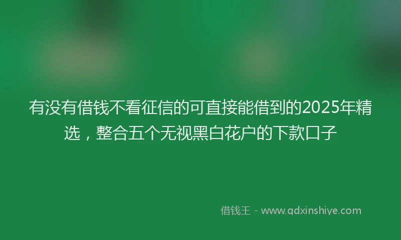有没有借钱不看征信的可直接能借到的2025年精选，整合五个无视黑白花户的下款口子