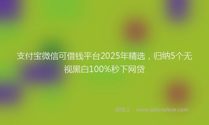 支付宝微信可借钱平台2025年精选，归纳5个无视黑白100%秒下网贷