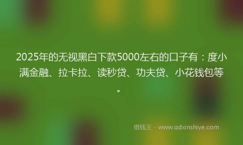 2025年的无视黑白下款5000左右的口子有：度小满金融、拉卡拉、读秒贷、功夫贷、小花钱包等。