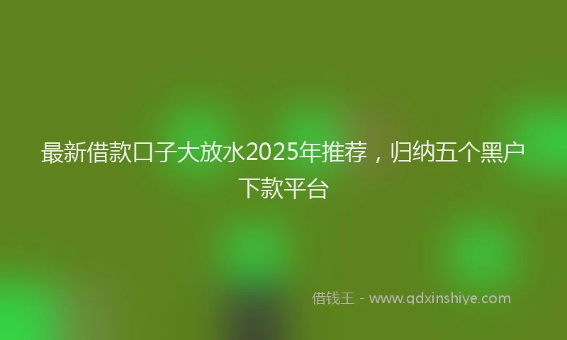 最新借款口子大放水2025年推荐，归纳五个黑户下款平台