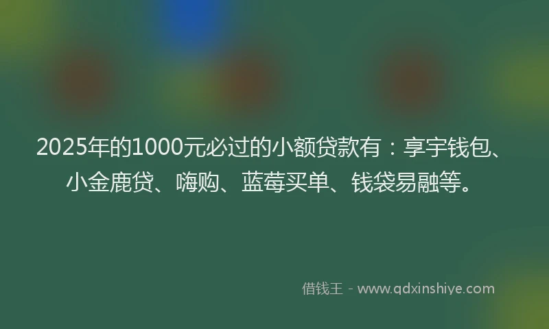 2025年的1000元必过的小额贷款有：享宇钱包、小金鹿贷、嗨购、蓝莓买单、钱袋易融等。