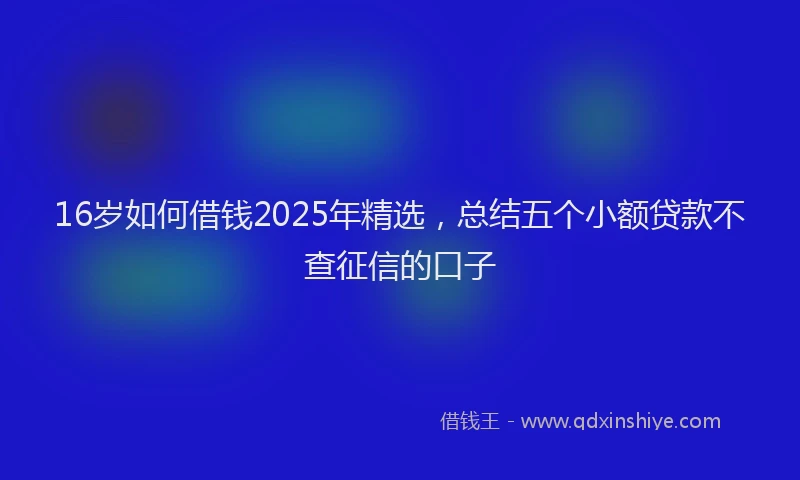 16岁如何借钱2025年精选，总结五个小额贷款不查征信的口子