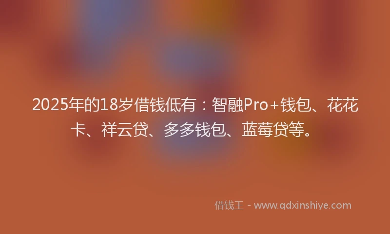 2025年的18岁借钱低有：智融Pro+钱包、花花卡、祥云贷、多多钱包、蓝莓贷等。
