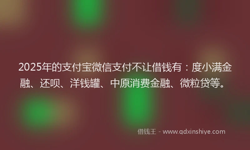 2025年的支付宝微信支付不让借钱有：度小满金融、还呗、洋钱罐、中原消费金融、微粒贷等。