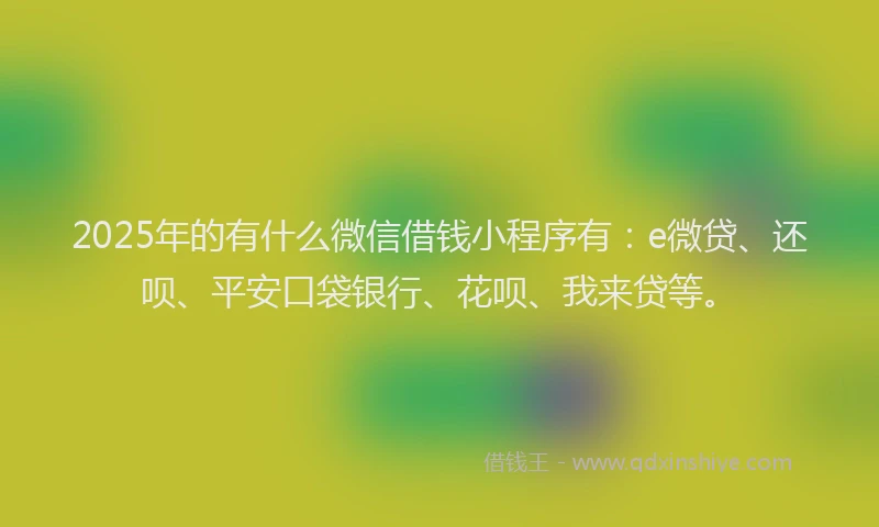 2025年的有什么微信借钱小程序有：e微贷、还呗、平安口袋银行、花呗、我来贷等。