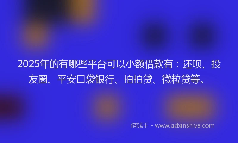 2025年的有哪些平台可以小额借款有：还呗、投友圈、平安口袋银行、拍拍贷、微粒贷等。