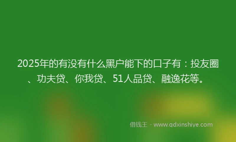 2025年的有没有什么黑户能下的口子有：投友圈、功夫贷、你我贷、51人品贷、融逸花等。
